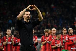贝尔戈米：马尔蒂尼说过没人是天生的管理员，伊布可以去学习成长